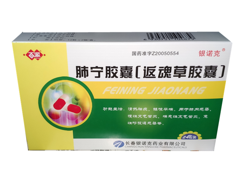肺宁胶囊(返魂草胶囊) (百派)0.5g*12粒*2板