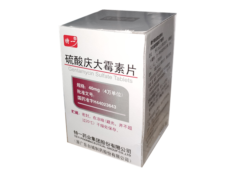 硫酸庆大霉素片（特一）100片