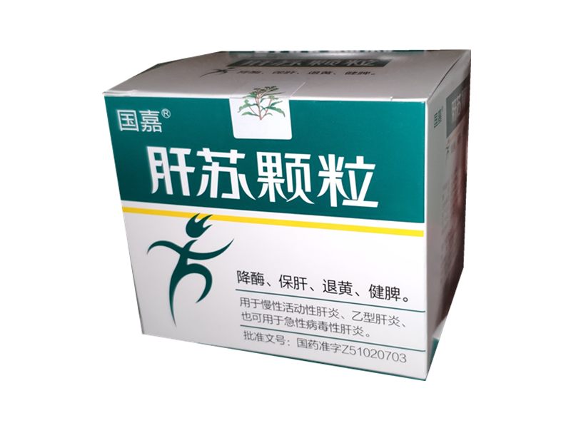 肝苏颗粒 含糖（国嘉） 9g*9袋