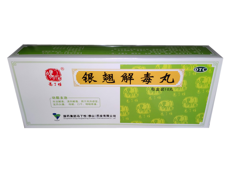 银翘解毒丸 (冯了性) 10丸