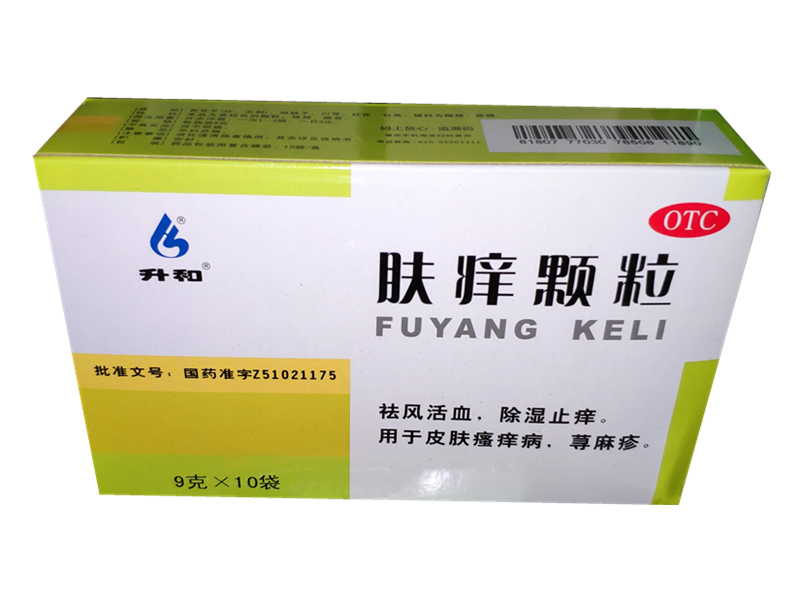 肤痒颗粒 (升和) 10袋